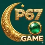 P67 Game