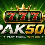 PAK500 Game
