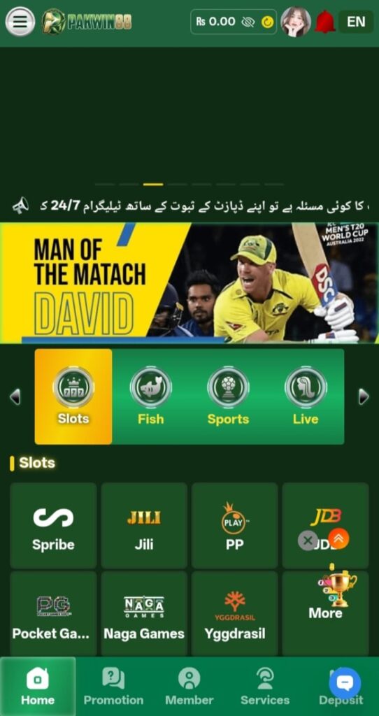 PakWin88Game APK Ultimate Casino and Reward Gaming 2026